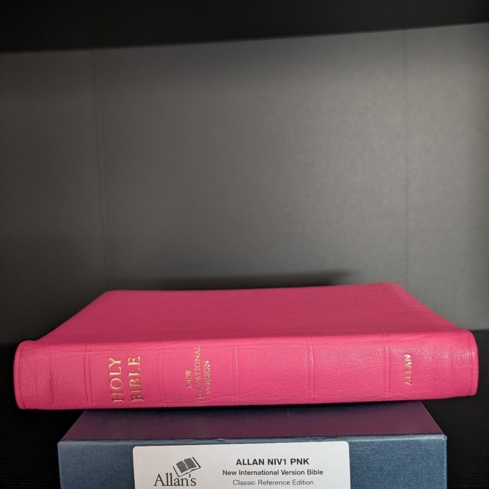 Allan's Pink Holy Bible - New International Version